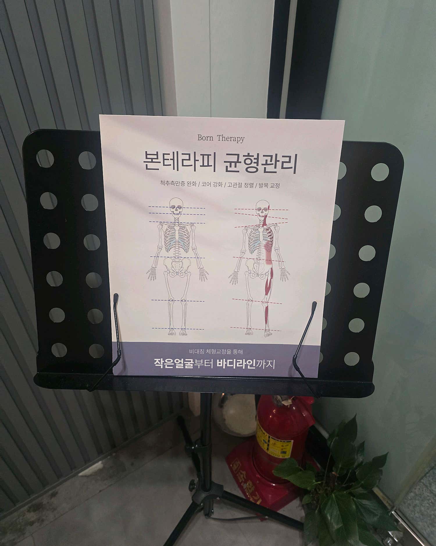 창원-본테라피(상남동)