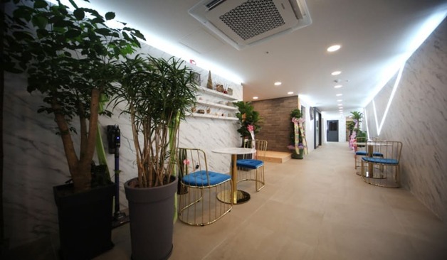 서울 강남구 역삼동 봄테라피 로비 2