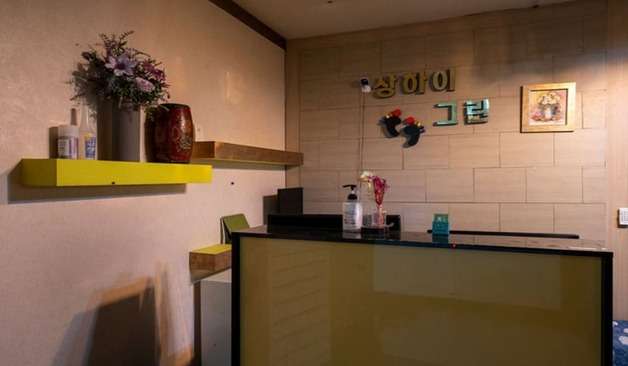 일산-상하이그린(장항동·정발산역)