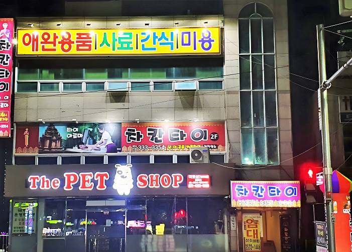 영천-차칸타이(조교동)